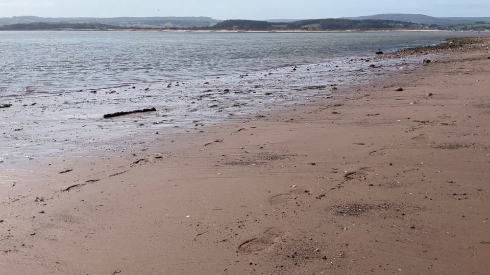 UK Government launches major review into the water industry News